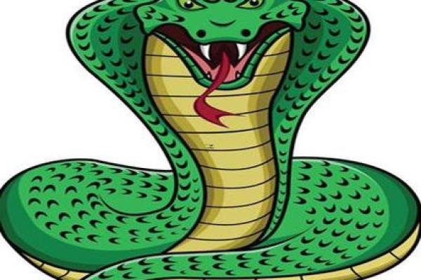 周公解梦解析：梦到怀孕象征着什么？