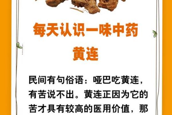 探索中药命名背后的历史与含义
