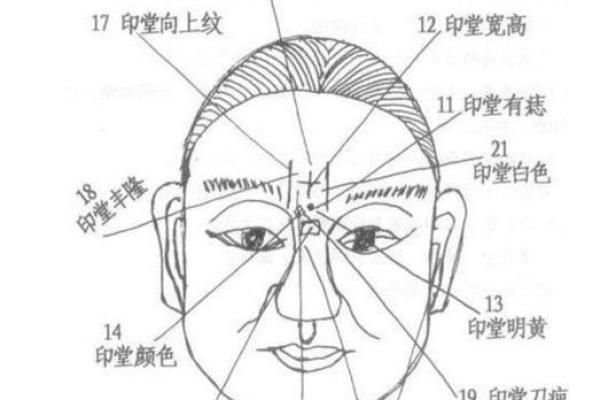 印堂凸起的男人面相解析：财运与性格的独特密码
