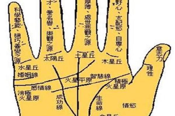 如何通过生辰八字转换了解命运走势