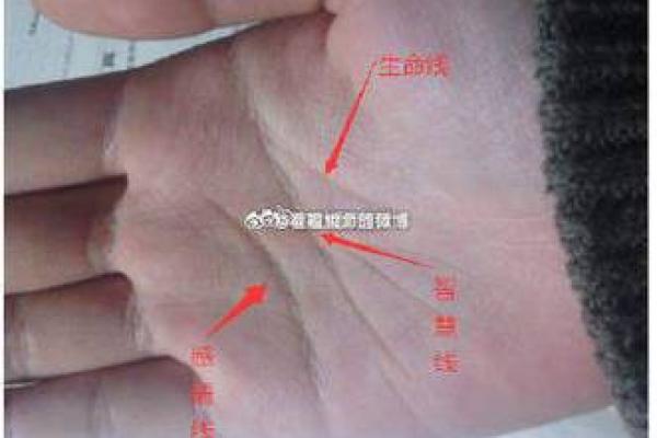 手相中的吸引力：从掌纹看恋爱运势