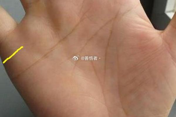 手相中的吸引力：从掌纹看恋爱运势