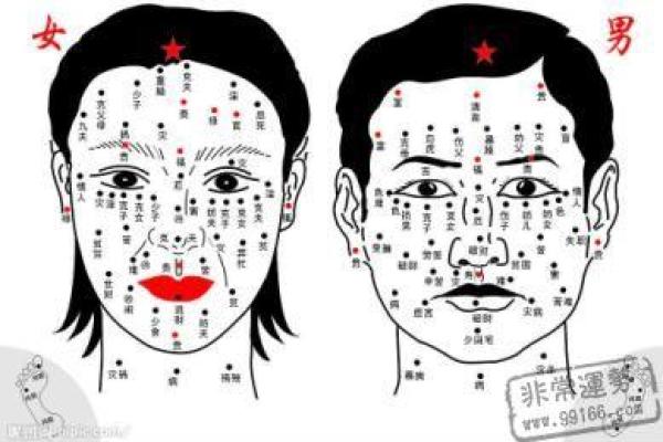 如何通过胸膛的痣相看待自己的未来