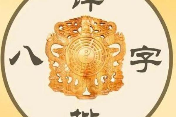命理资料分析：解析八字命理与个人运势的关系