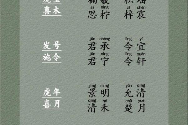 独特男宝宝起名字免费技巧与建议