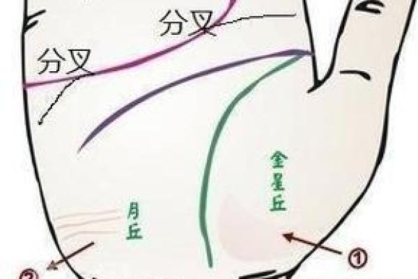 女人手相感情线与爱情性格：如何从掌纹看你的人际关系