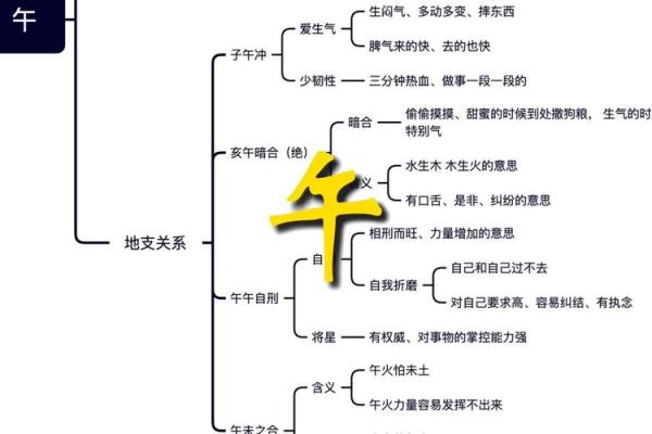 十二地支生克关系解析与应用指南