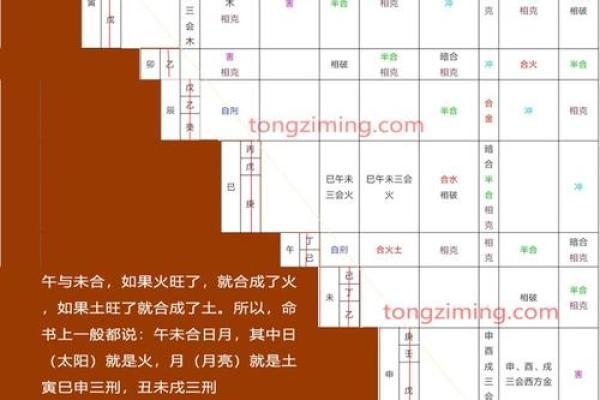 十二地支生克关系解析与应用指南