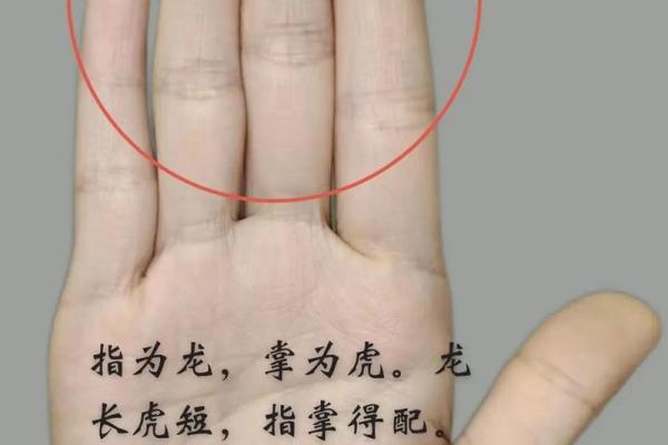 免费手相分析：你知道手纹中的秘密吗？