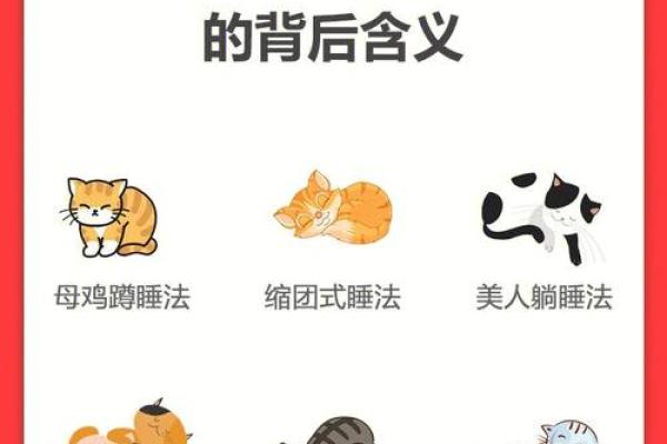 梦到前任的含义与心理分析解析