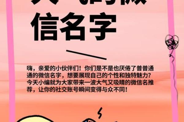 名字打分如何帮助你选择最具吸引力的名字