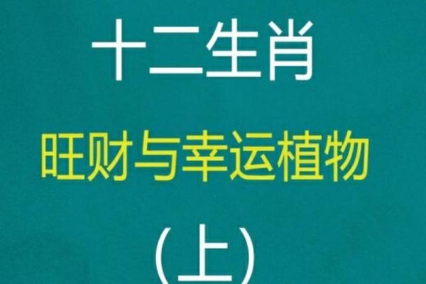 适合鼠年出生男孩的名字：结合生肖特点的命名技巧