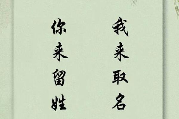 姓杨的鸡宝宝起名技巧与注意事项