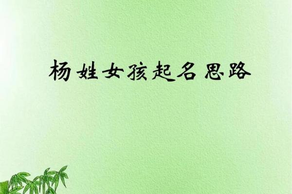 姓杨的鸡宝宝起名技巧与注意事项
