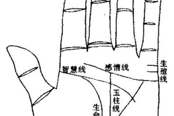 手相解读：揭开你命运的神秘面纱