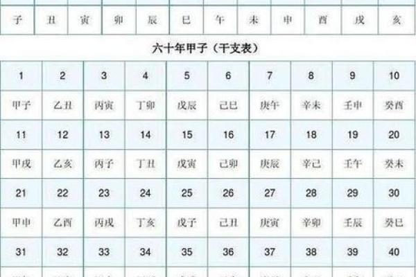 时辰天干地支速查表使用指南与解析