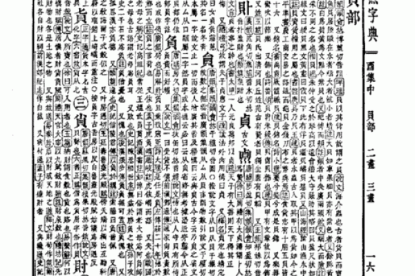 珊字五行分析及其属性解读