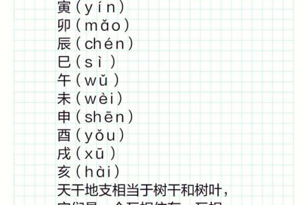 十地支的起源与象征意义解析