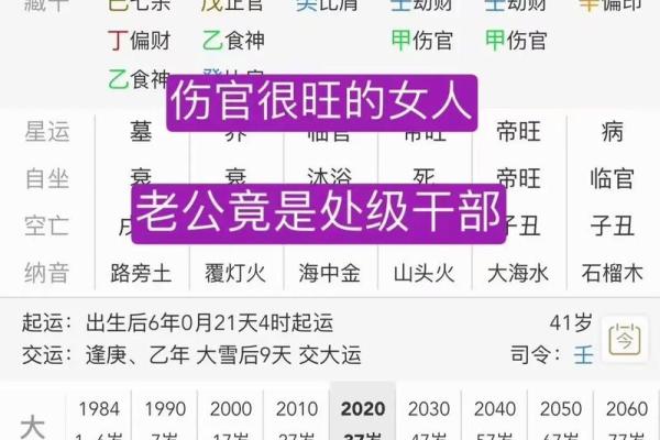 伤官在地支的影响与解析：如何解读命盘中的伤官星