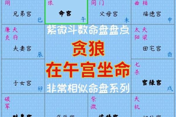 如何利用免费紫微排盘工具解析命运轨迹