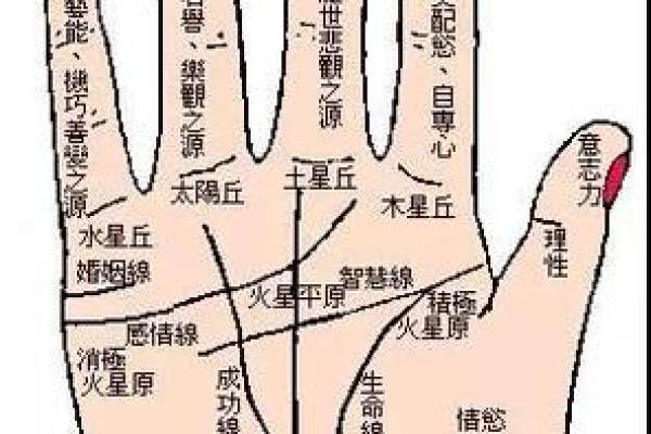 如何通过手相福禄寿三丘隆起预测未来运势