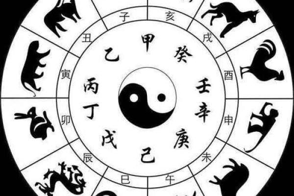 十二生肖与天干地支的完美结合解析