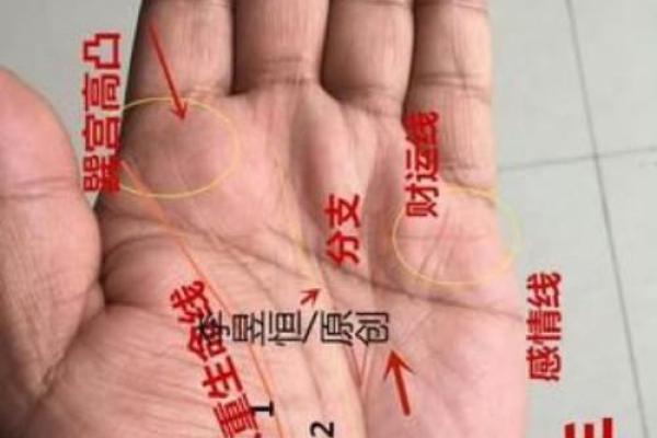 大富大贵手相与命运运势的深度关系