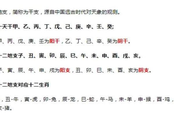 探究流年运势：天干与地支哪个更为重要