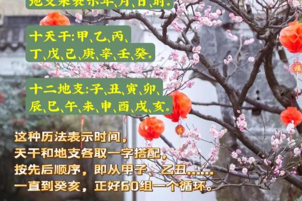 生辰八字的含义及其在命理学中的重要性
