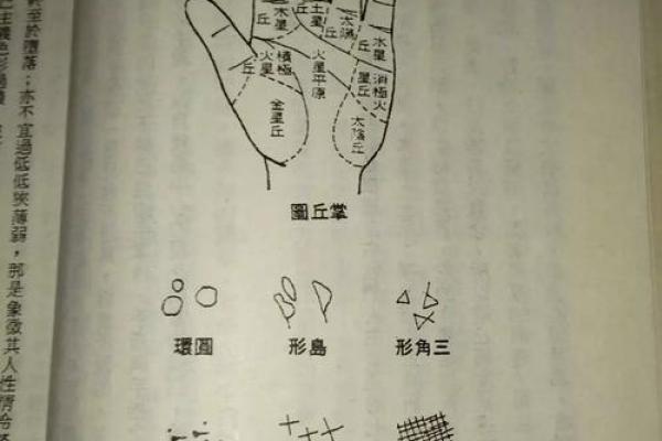 如何通过名字免费查询打分了解个人运势