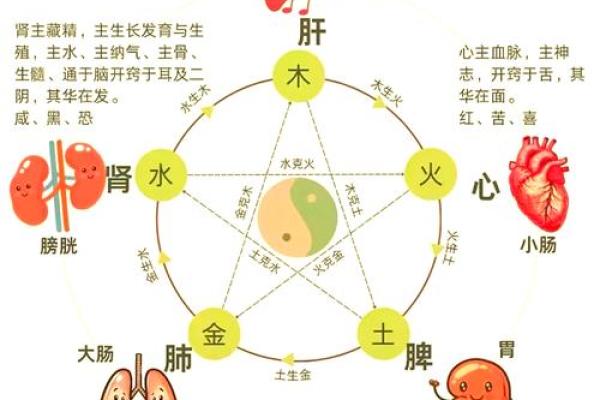 数字与五行相生相克：深入分析数字与五行的关系
