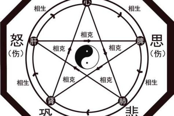 王五行属性分析与解读