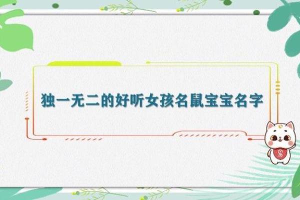 鼠宝宝起名指南 打造独一无二的名字