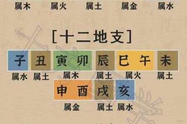 时辰与天干地支的关系解析