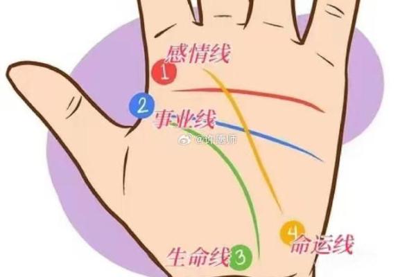 解读成功男人手相背后的秘密