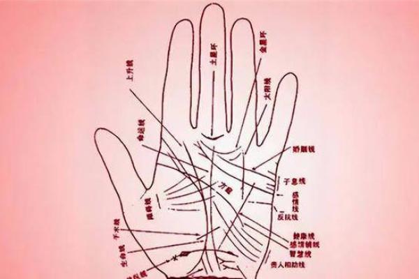 女人三大苦命手相揭示命运走向