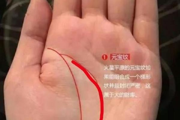 双鱼纹手相解析：了解你的灵性与情感世界