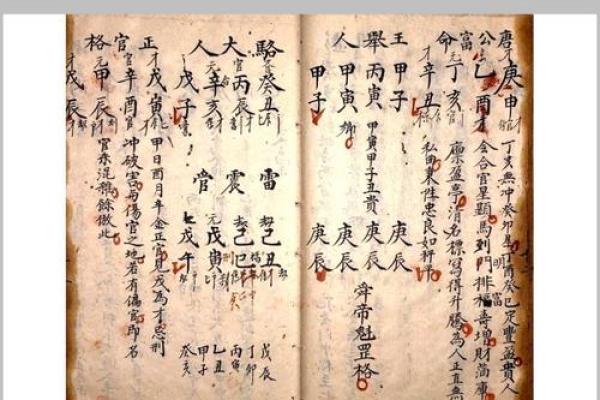 命理学初学者必备：全面解析命理PDF书籍内容