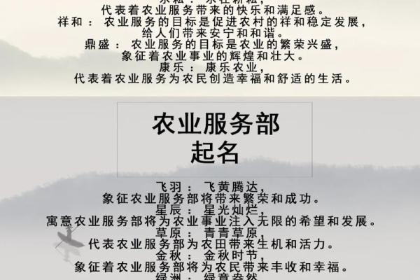 免费公司命名服务助你打造品牌独特性