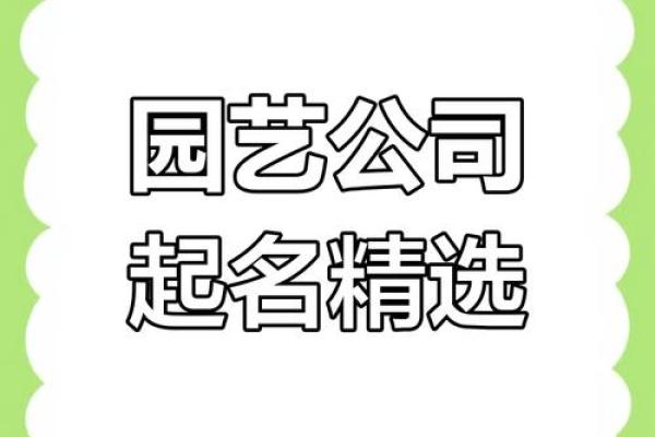 免费公司命名服务助你打造品牌独特性