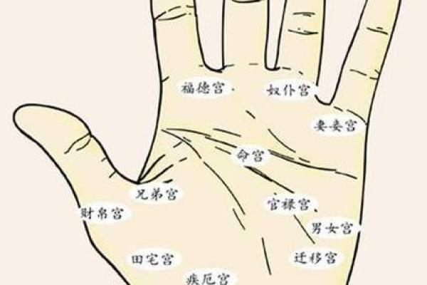 婚姻线的秘密：手相解读与图示全览