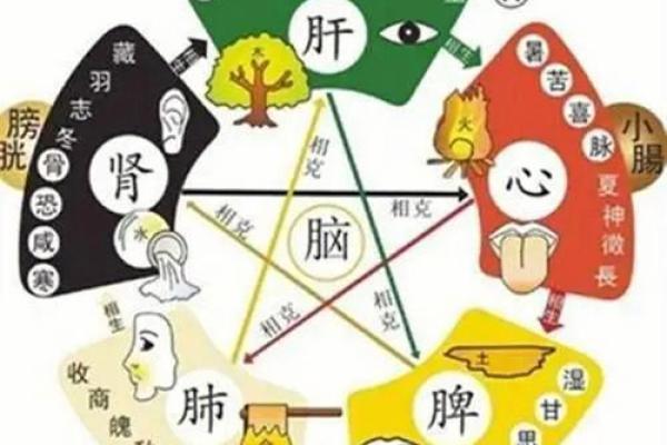 探索五行相生相克对个人命运的影响