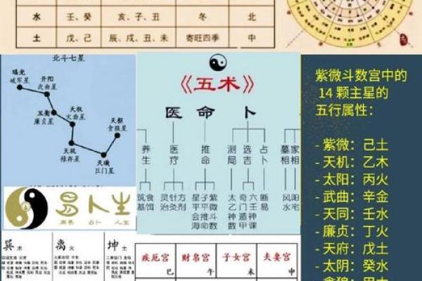 八字五行属性解析及应用指南