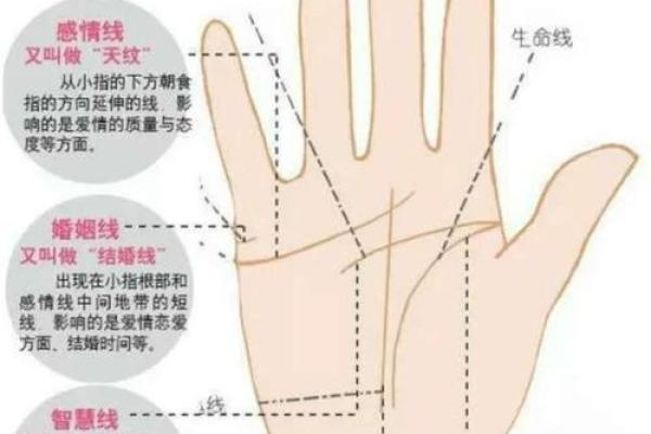 如何解读双鱼纹手相中的神秘符号