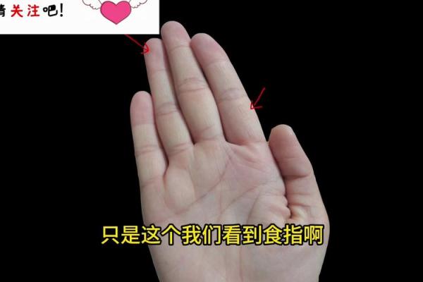 如何解读双鱼纹手相中的神秘符号