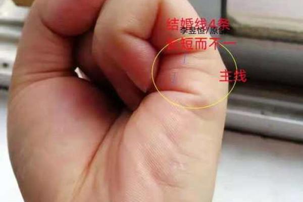 探索男性手相图解 揭示你的人生轨迹和个性特征