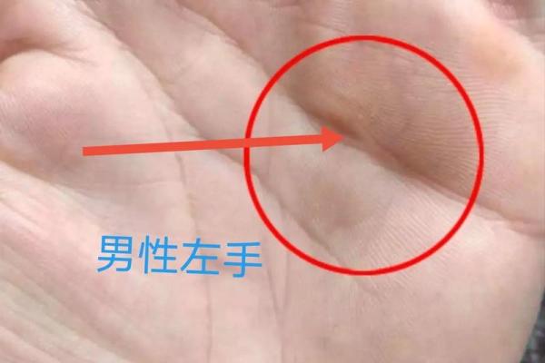 探索男性手相图解 揭示你的人生轨迹和个性特征