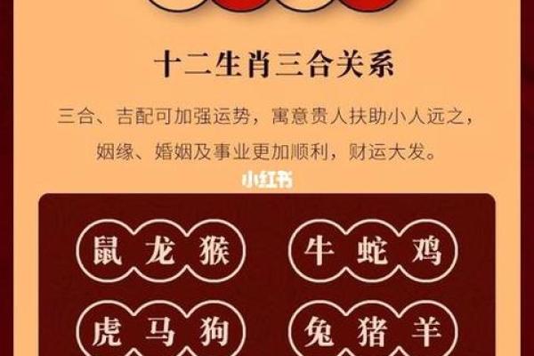 命理学中的生肖与个性：揭开性格背后的秘密