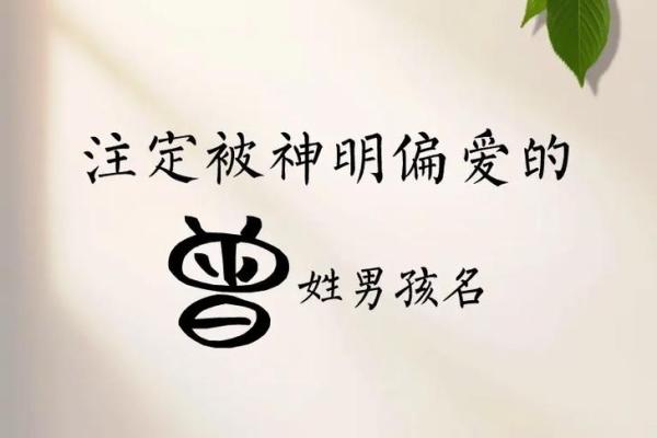 曾姓男孩取名宝典：名字推荐与选取技巧