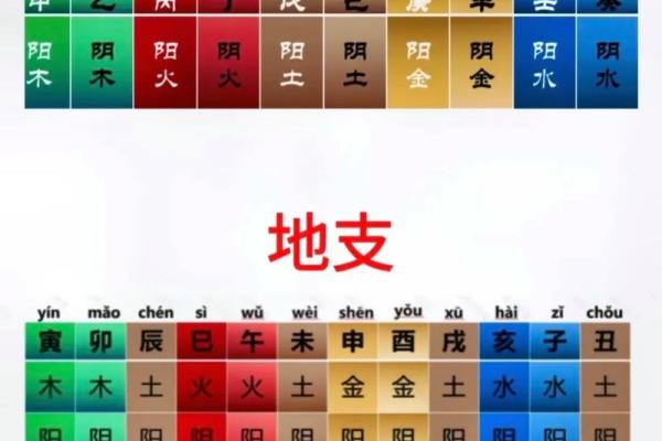 十二地支时辰在古代命理中的重要性